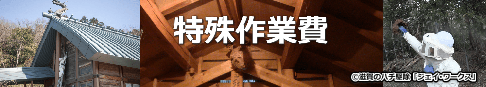 東近江市 ハチ駆除 特殊作業費